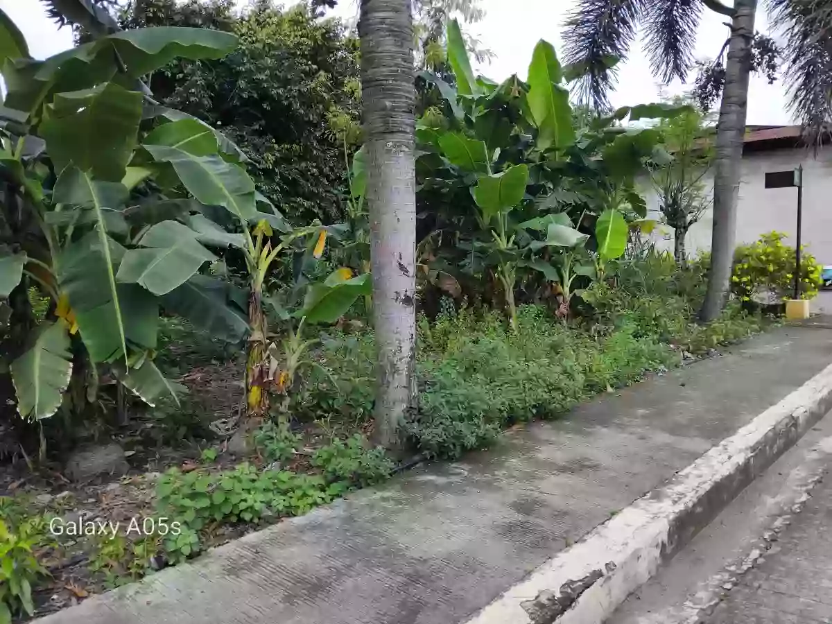 Commercial lot for sale — Commercial Lot in Negros Occidental, Philippines — Photo 3