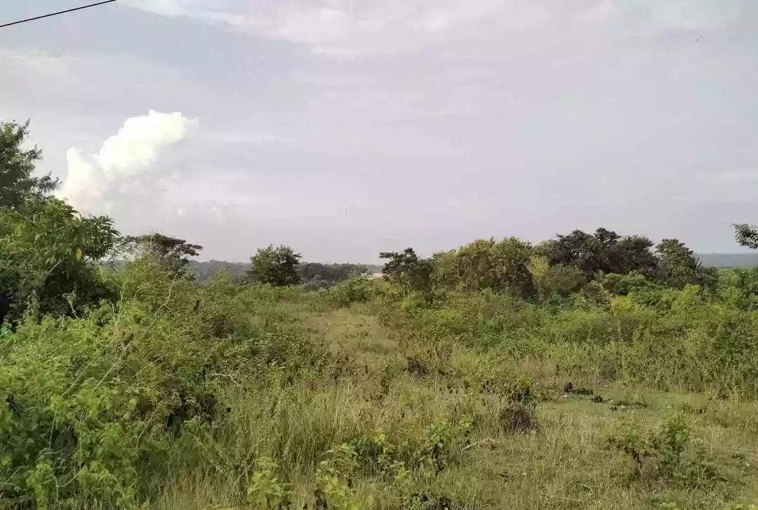 Titled Lot in Guadalupe, Bogo City - RUSH SALE! — Residential Lot in Lawis, Bogo City, Cebu — Photo 2