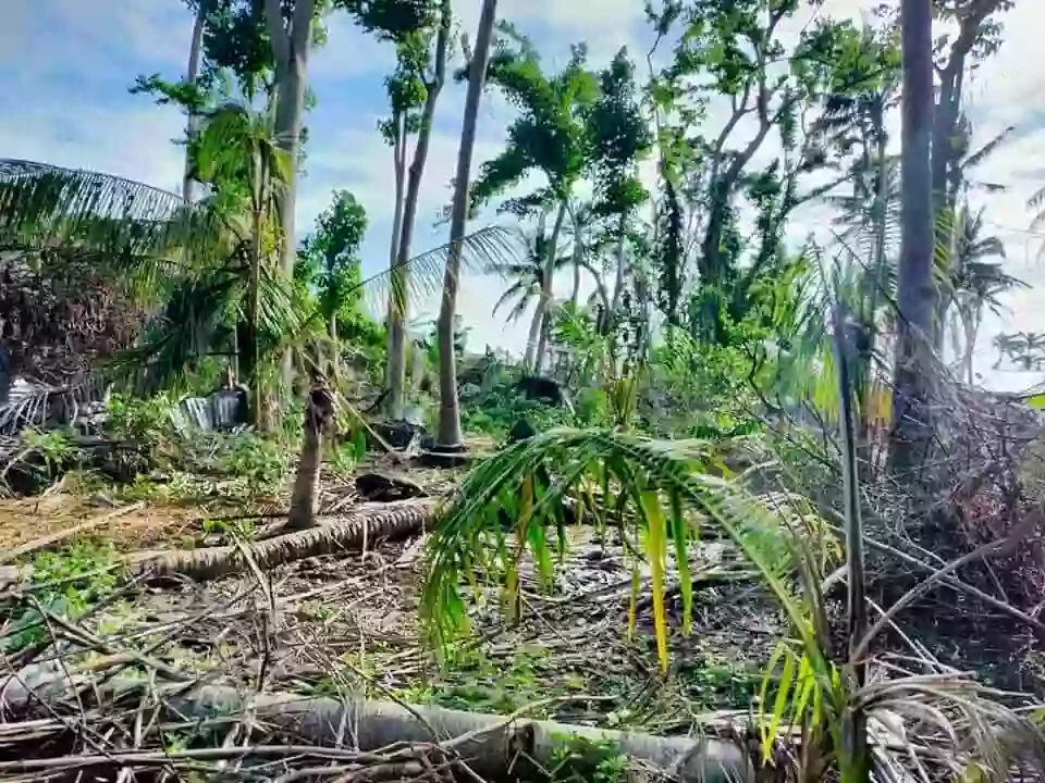 LOT ONLY FOR SALE in Argao Cebu for only 3k/sqm — Agricultural Lot in Argao, Cebu, Philippines — Photo 2