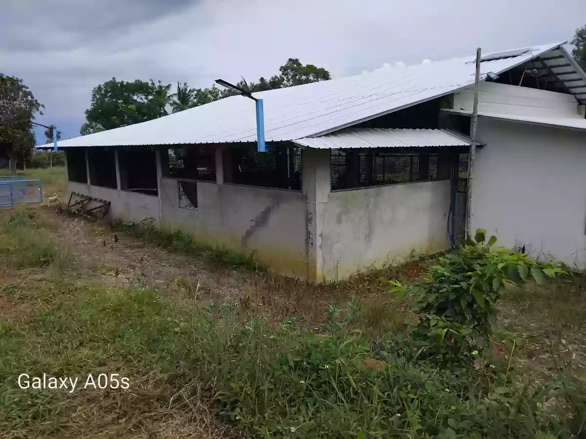 Land For Sale — Agricultural Lot in Guimaras, Philippines — Photo 7