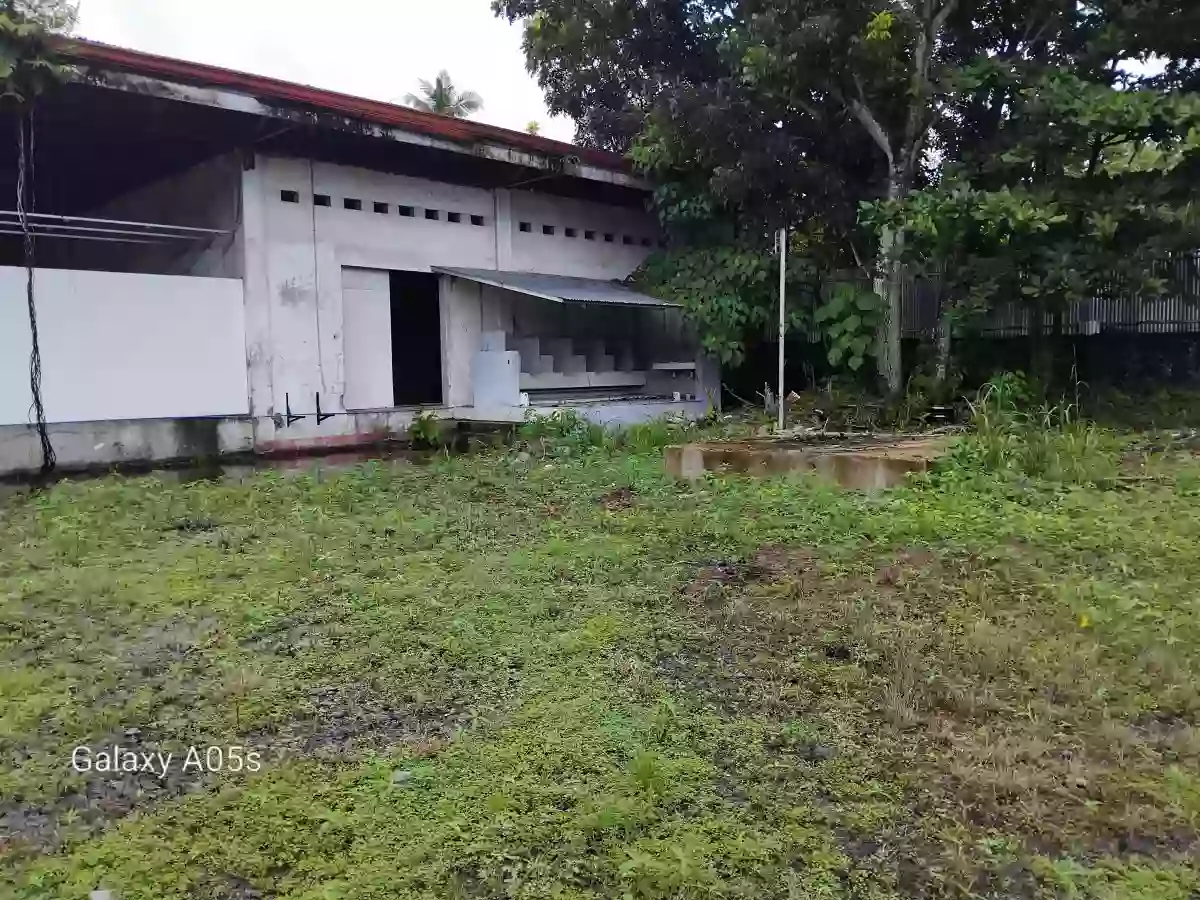 Warehouse for Sale (Hinoba-an) — Warehouse in Hinoba-an, Negros Occidental, Philippines — Photo 6