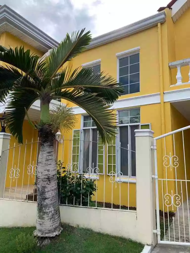 RUSH SALE 6BR SINGLE DETACHED HOUSE AND LOT IN SOUTH PLAINS GUADALUPE CEBU CITY — House and Lot in Upper Don Gervacio Quijada, Cebu City, Cebu — Photo 3