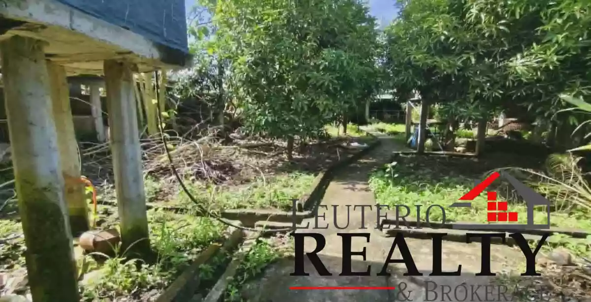 3470 SQM FARM LOT WITH LIVESTOCK CONSTRUCTION — Agricultural Lot in Calabanga, Camarines Sur, Philippines — Photo 2