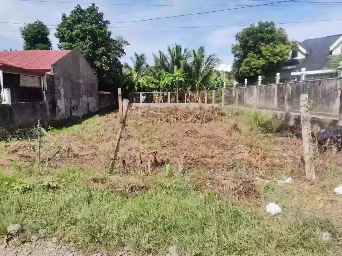 Corner Lot for sale in PNB Subdivision Dipolog City — Residential Lot in Dipolog City, Zamboanga del Norte, Philippines — Photo 3