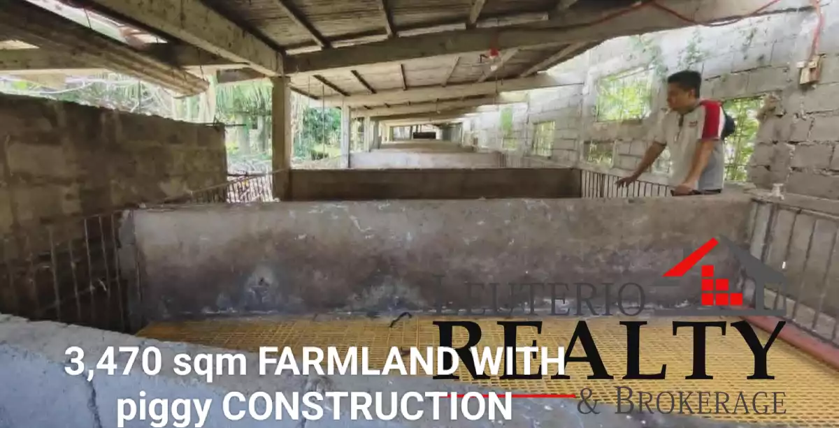 3470 SQM FARM LOT WITH LIVESTOCK CONSTRUCTION — Agricultural Lot in Calabanga, Camarines Sur, Philippines — Photo 4