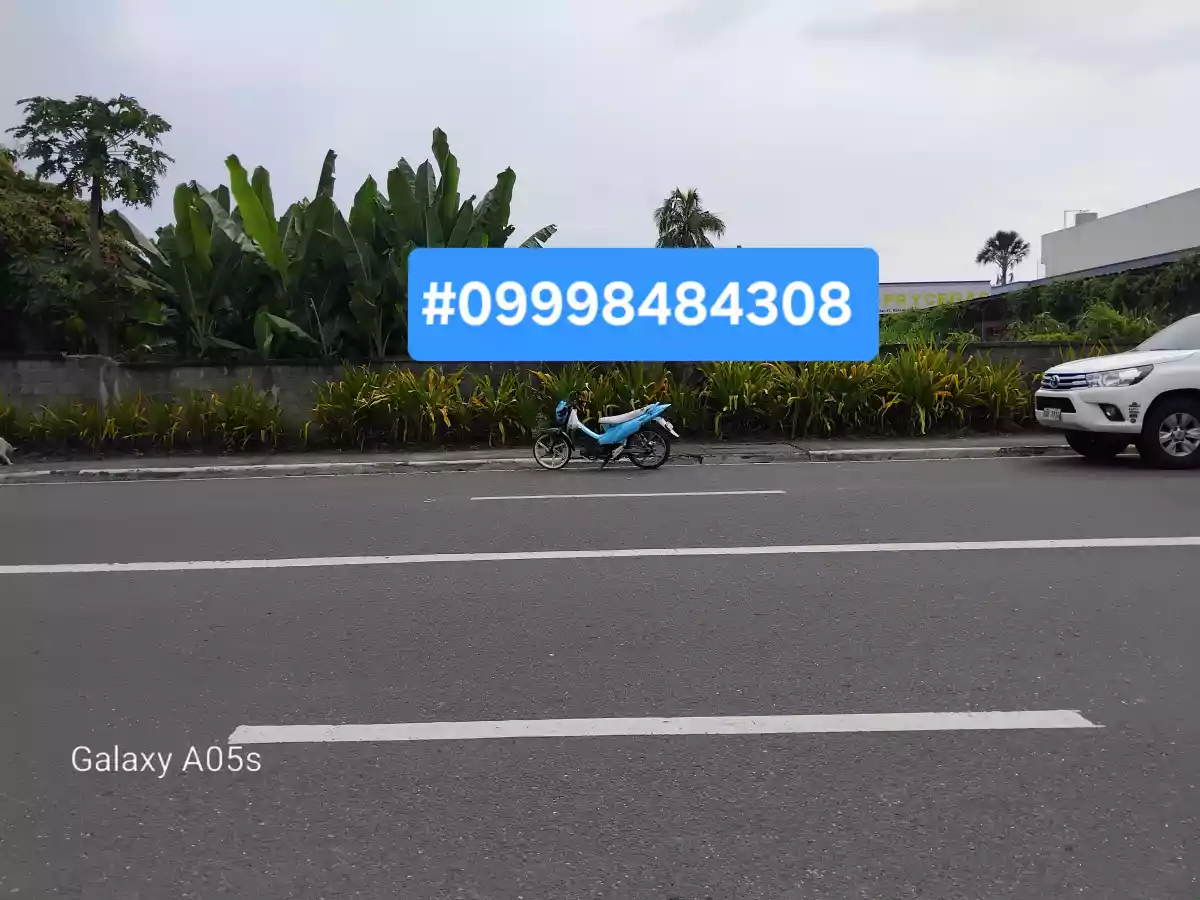 Commercial lot for sale — Commercial Lot in Negros Occidental, Philippines — Photo 4