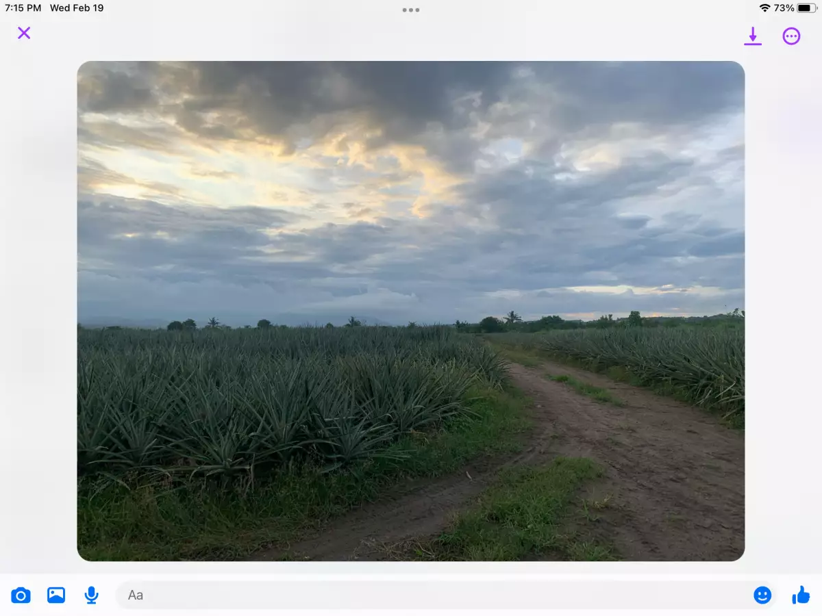 Polomolok, South Cotabato — Agricultural Lot in South Cotabato, Philippines — Photo 5