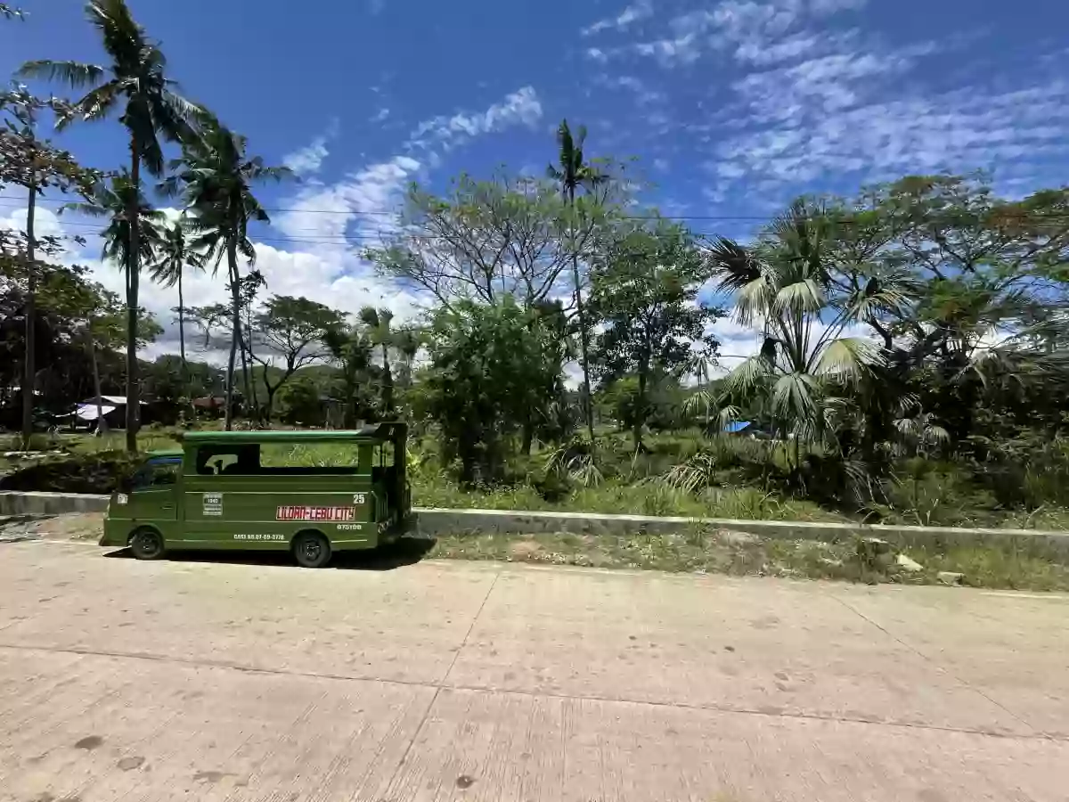 4,434 sqm AGRICULTURAL LOT FOR SALE IN COTCOT, LILOAN [TITLED] — Agricultural Lot in Liloan, Cebu, Philippines — Photo 4