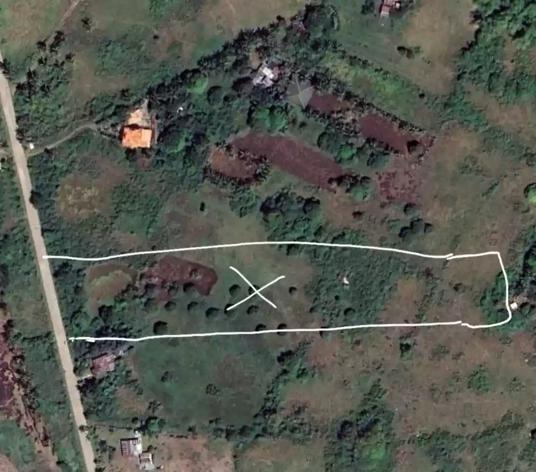 Wide Frontage Agriland in Daanbantayan — Agricultural Lot in Daanbantayan, Cebu, Philippines — Photo 6