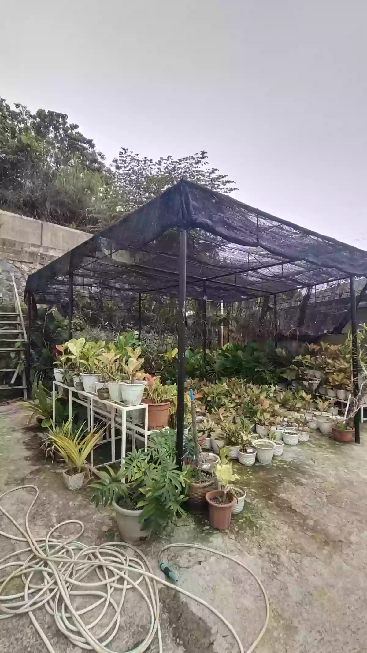 Open photo 13 of 20 — HOUSE & LOT FOR SALE