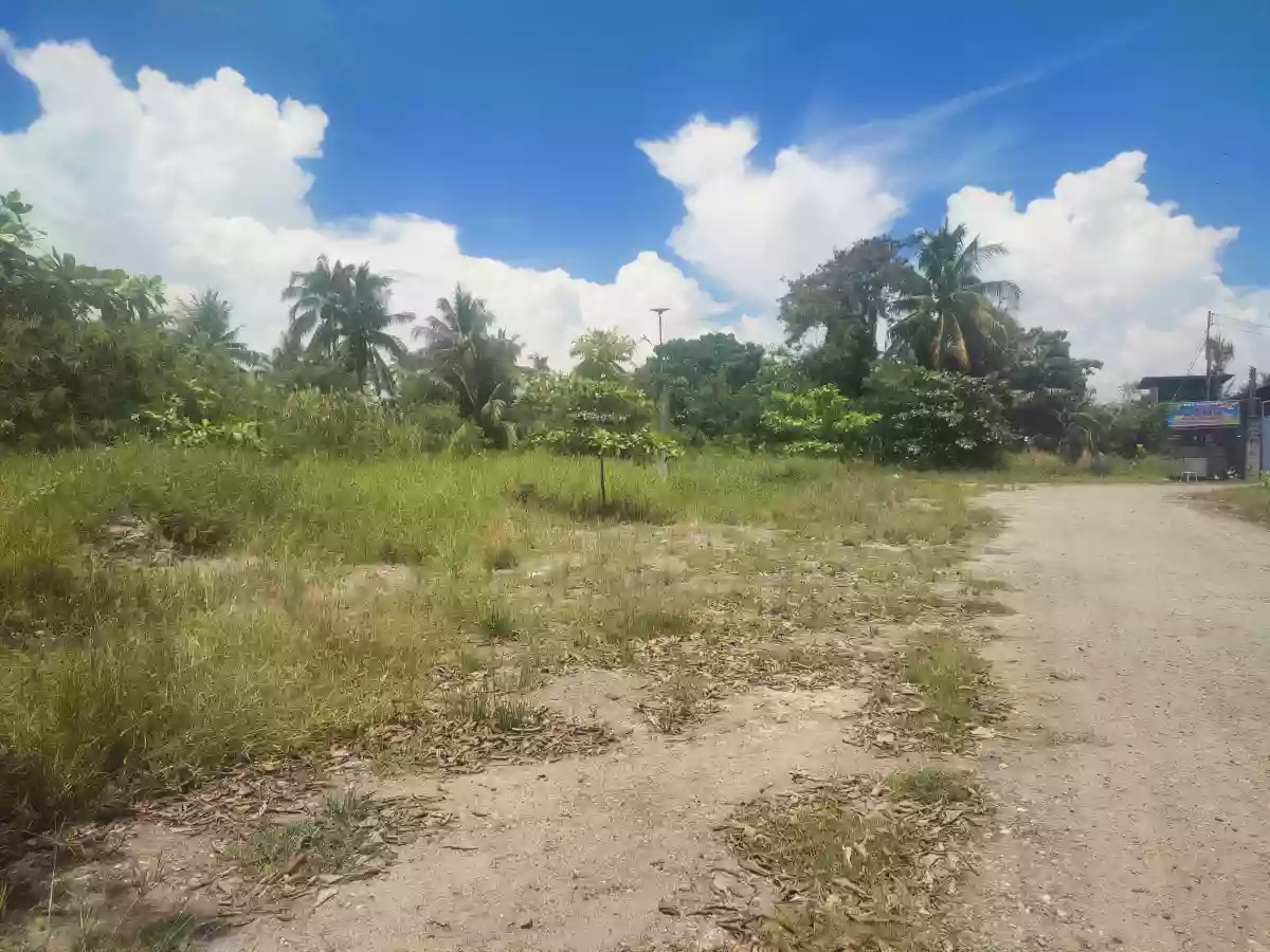 Raw Lot Along Bula-Amao Road, Jorge Royeca Blvd — Residential Lot in Dr. Jorge P, Jorge Royeca Boulevard, General Santos City — Photo 3