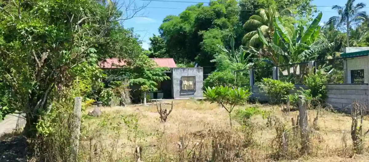 HOUSE AND LOT FOR SALE IN PUROK 13 KATANGGAWAN — Residential Lot in General Santos City, South Cotabato, Philippines — Photo 6