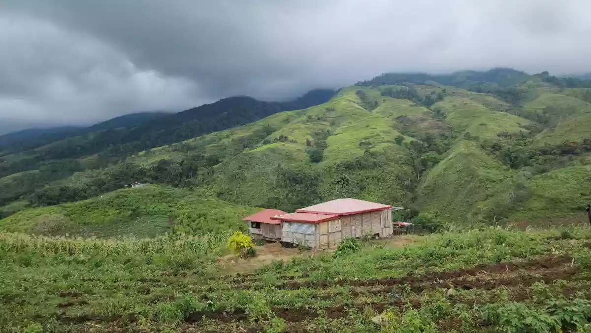 2.2 Hectares Farm Lot with 360° View in Basak, Lantapan, Bukidnon — Agricultural Lot in Lantapan, Bukidnon, Philippines — Photo 3