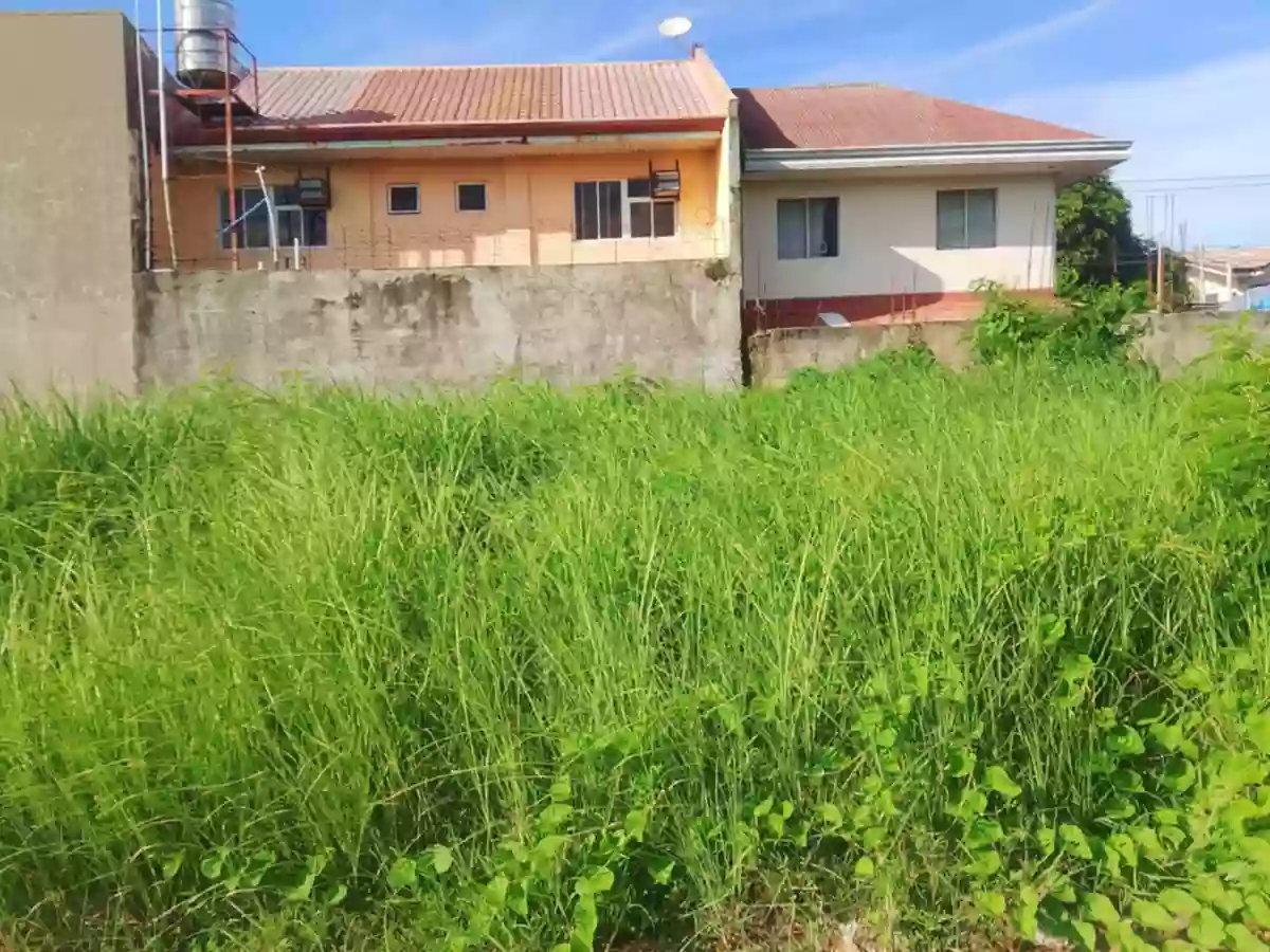 Lots for sale Monterosa Residential Estate, Madurriao Iloilo City!!! — Residential Lot in Mandurriao, Iloilo City, Iloilo — Photo 2