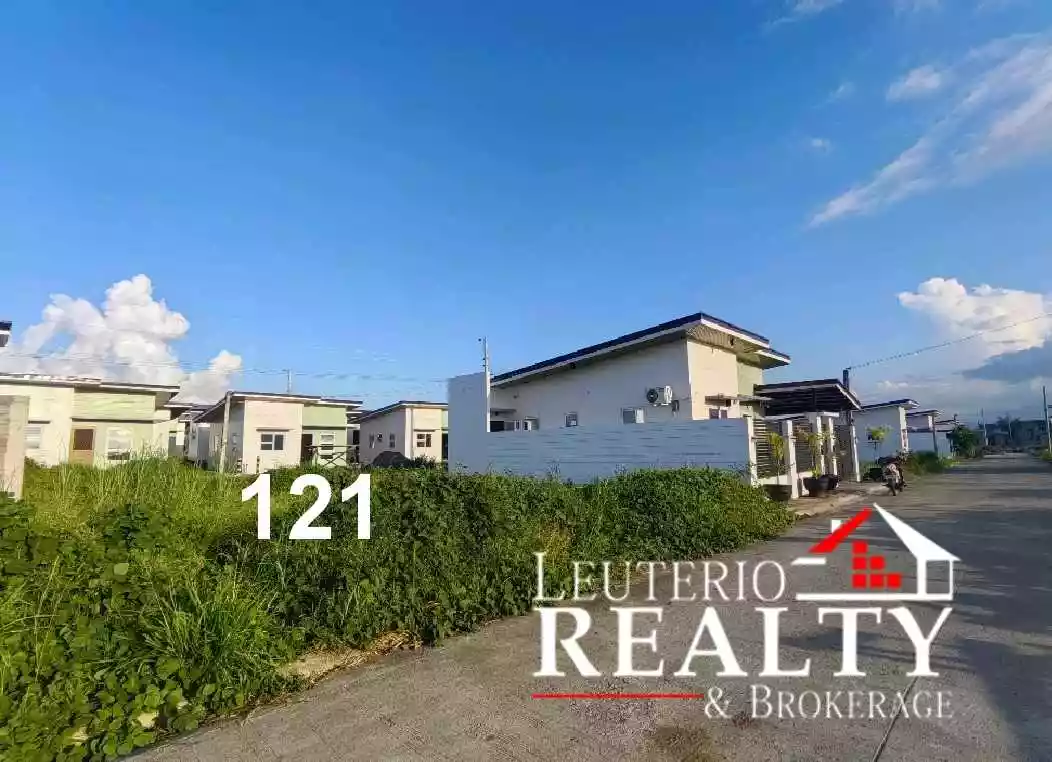 45 — Residential Lot in Pacol Road, Naga, Camarines Sur — Photo 2