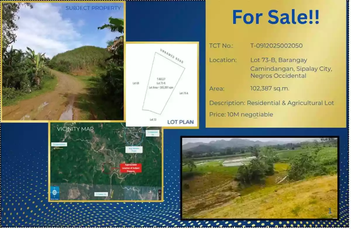 Land for Sale /Campo/Talamnan