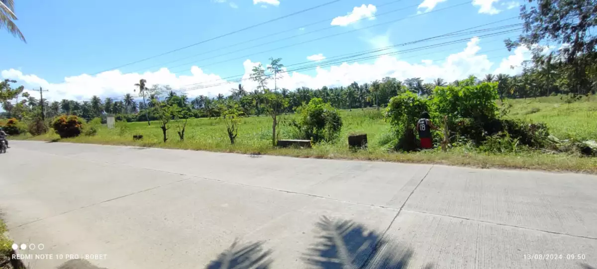 Prime AgriLand — Agricultural Lot in Butuan City, Agusan Del Norte, Philippines — Photo 3