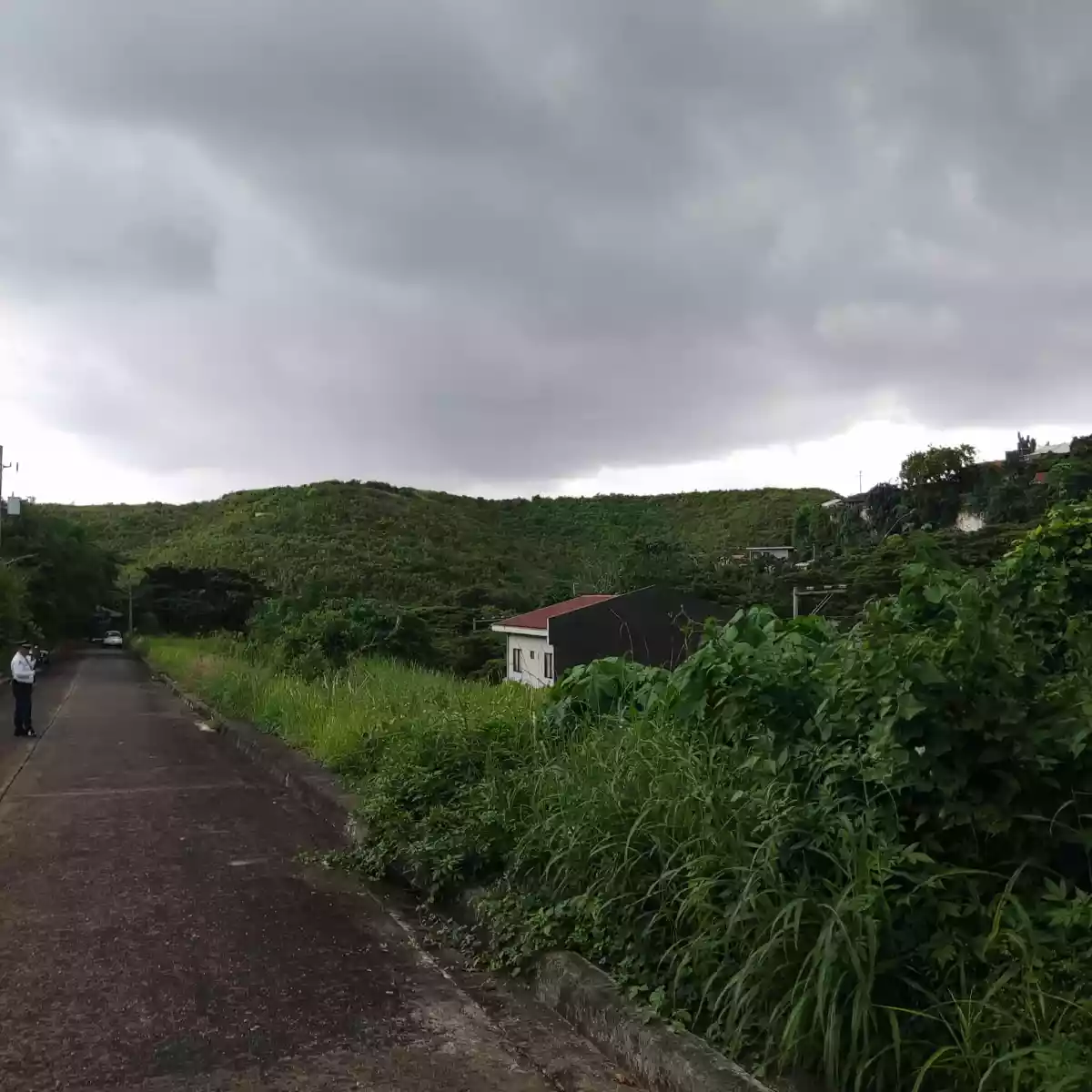 142 SQMS LOT in ASPEN HEIGHTS (quiet,private subdivision) in ASPEN HEIGHTS TOLOTOLO Consolacion — Residential Lot in Cebu, Philippines — Photo 2