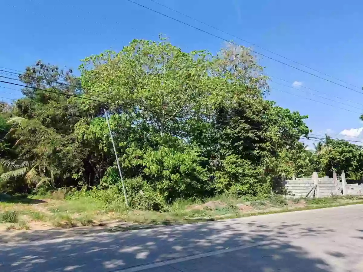 GenSan Lot for Sale at Barangay Ligaya, General Santos City