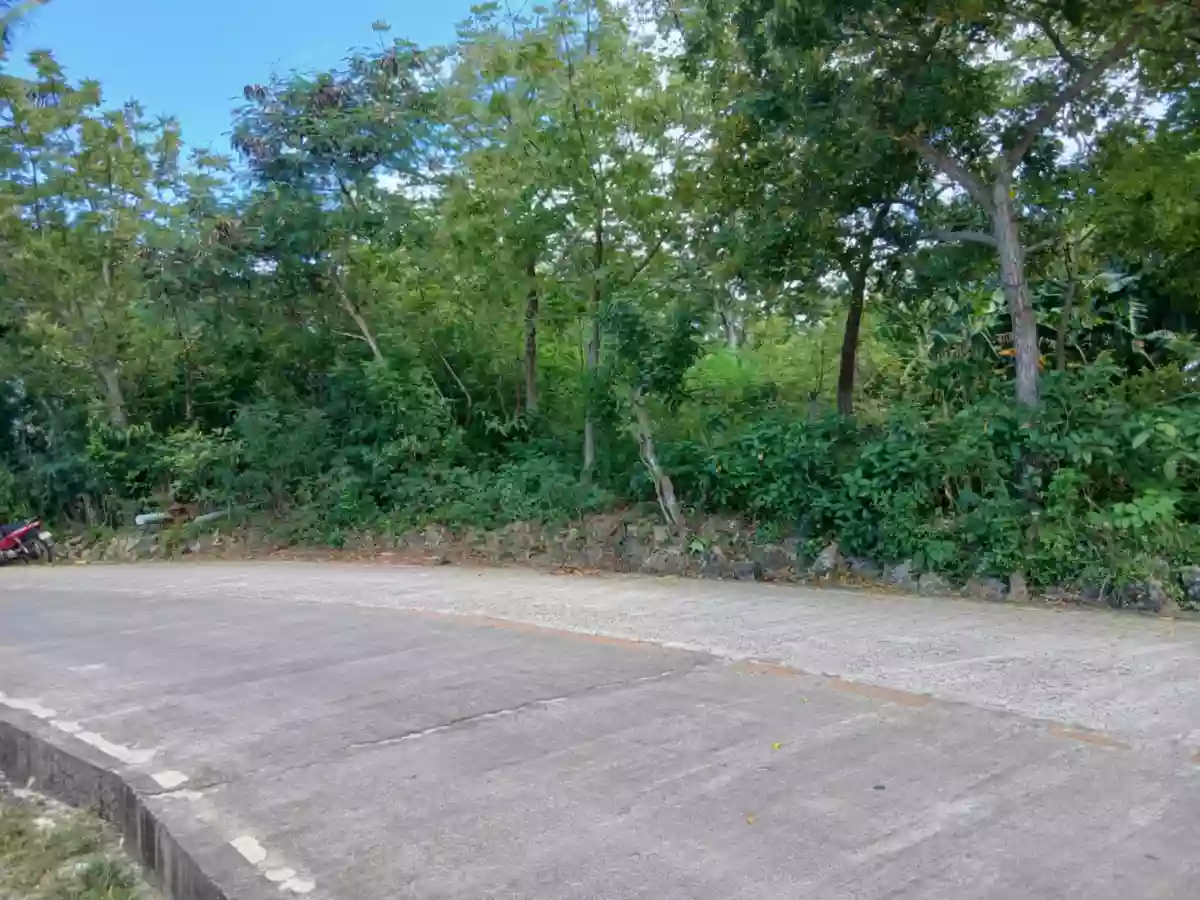 Residential Lot for sale — Residential Lot in San Francisco, Cebu, Philippines — Photo 4