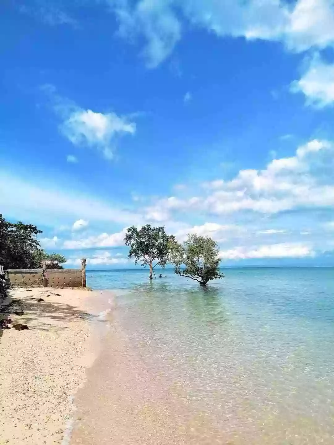 12 Hectare with House and White Sand — Beach Lot in Negros Occidental, Philippines — Photo 2
