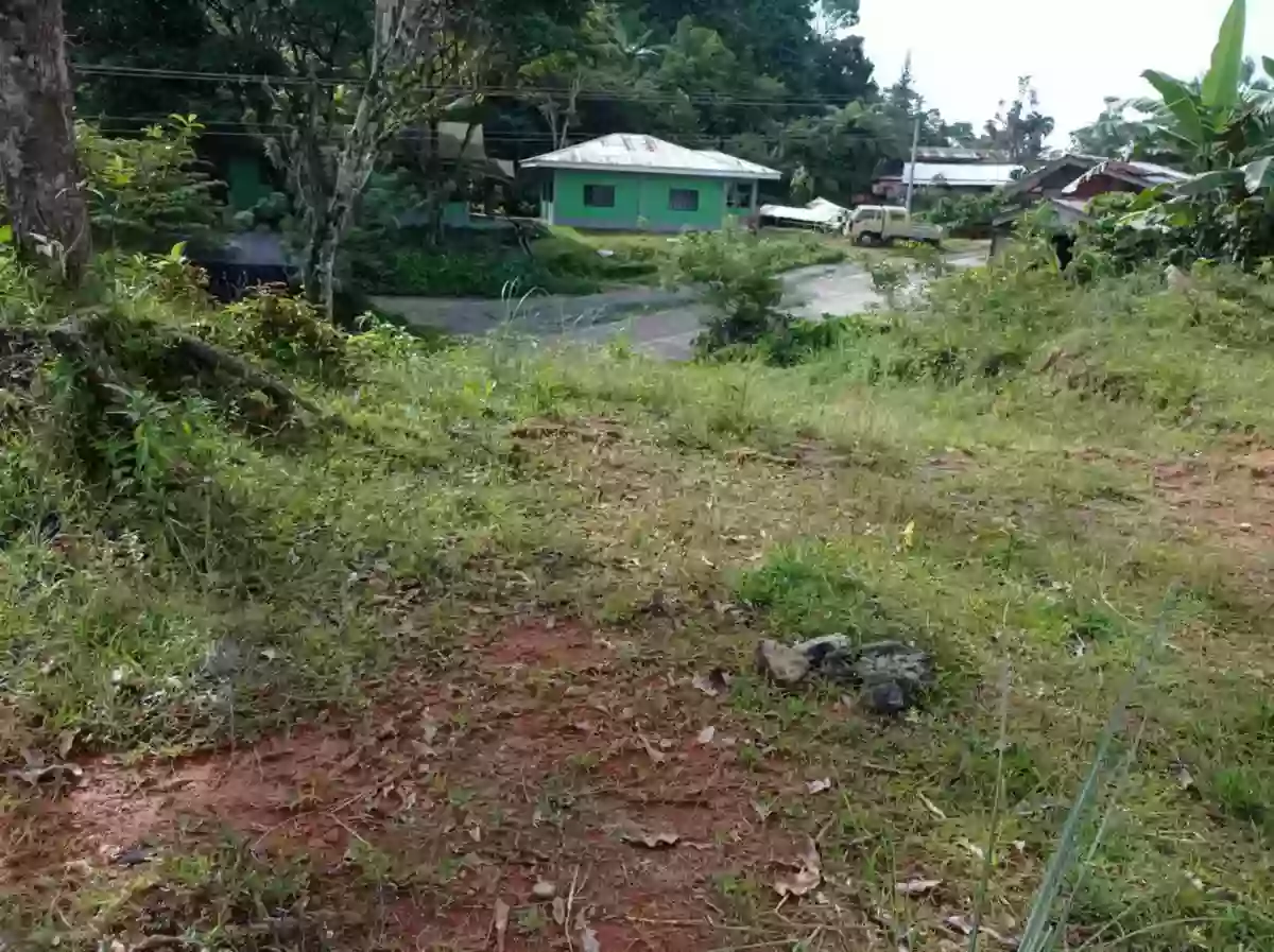 HOME LOT FOR SALE — Residential Lot in Sultan Kudarat, Philippines — Photo 3