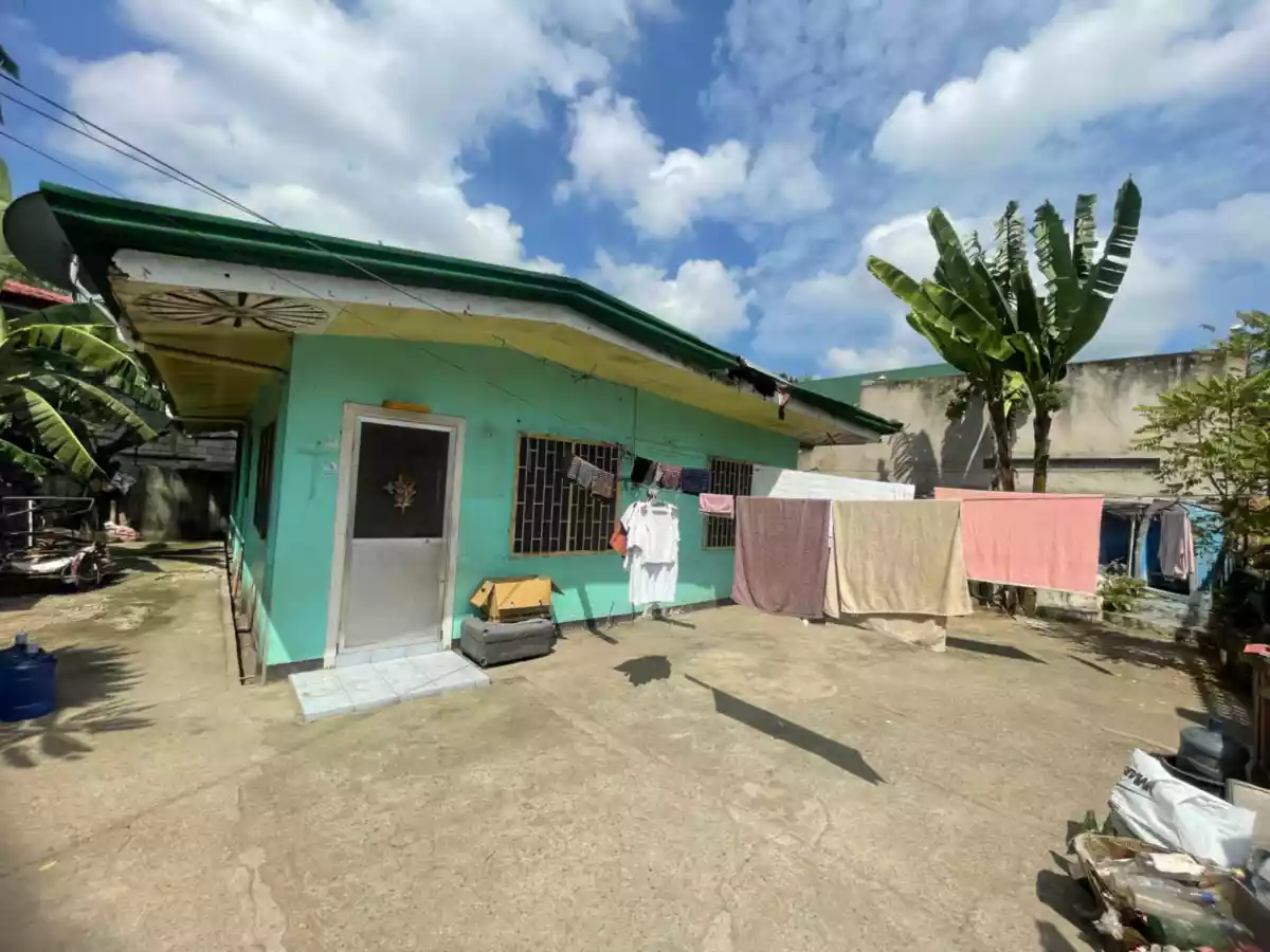 RUSH SALE: Residential / Commercial Property in Tungkil Minglanilla, Cebu — Agricultural Lot in Minglanilla, Cebu, Philippines — Photo 4