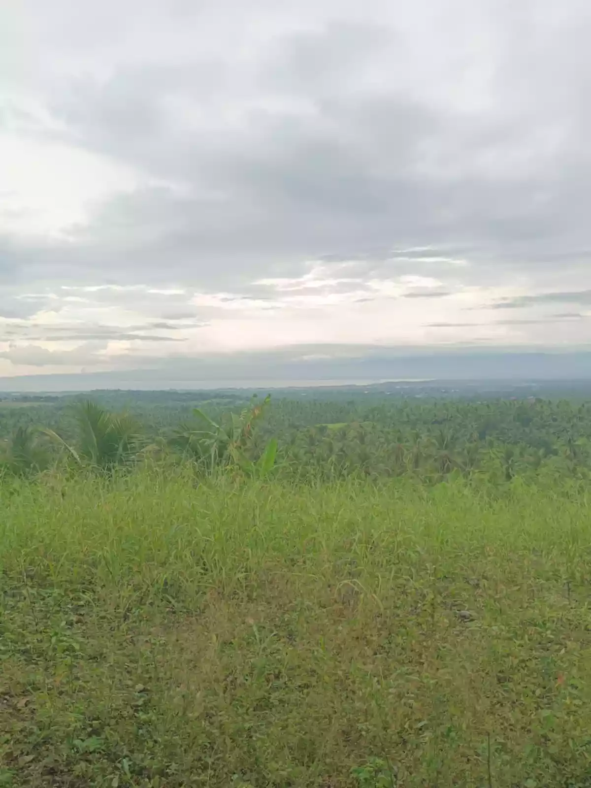 OVERLOOKING FARM LOT FOR SALE — Agricultural Lot in Barangay, Alabel, Sarangani — Photo 5