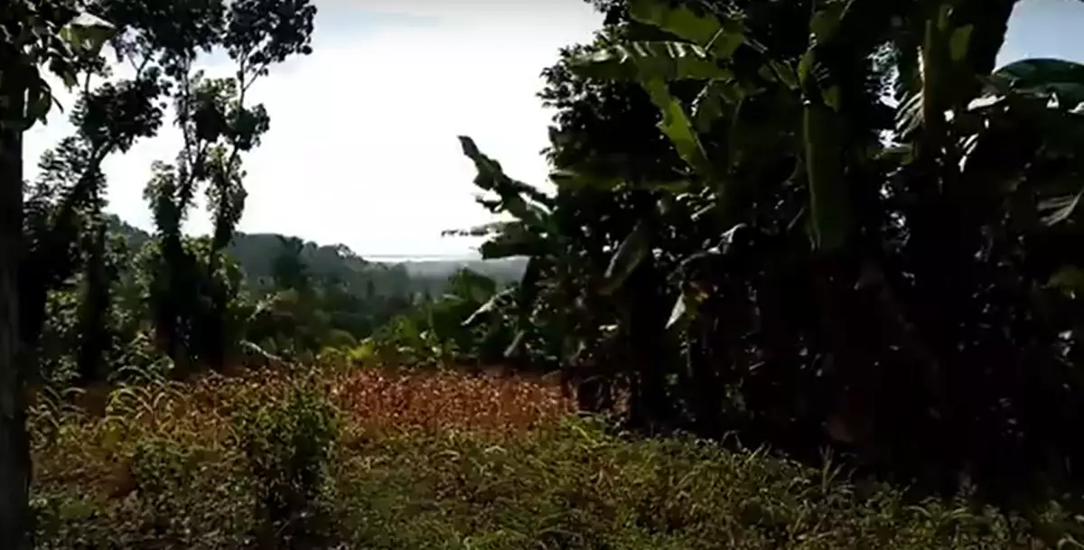 RESIDENTIAL IN LUINAB ISHAII