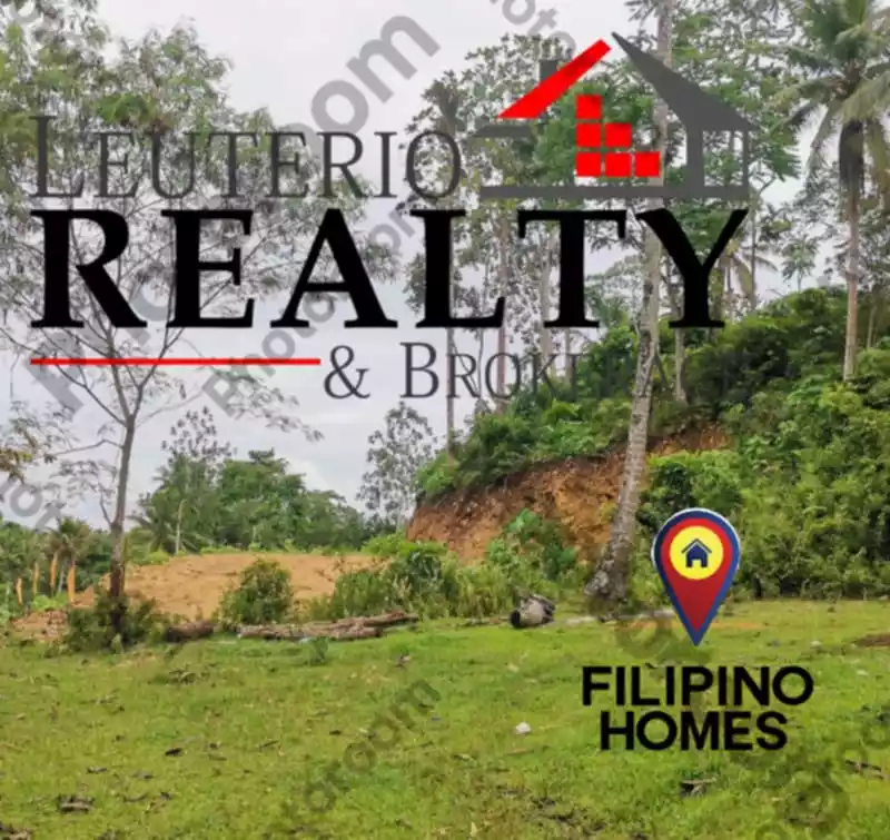 1000 SQM AGRI-FARM LOT FOR SALE — Agricultural Lot in Daraga, Albay, Philippines — Photo 5