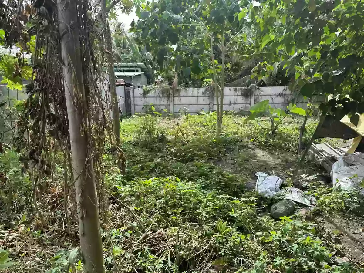 Residential Lot FOR SALE in  Poblacion Polomolok — Residential Lot in Polomolok, South Cotabato, Philippines — Photo 7