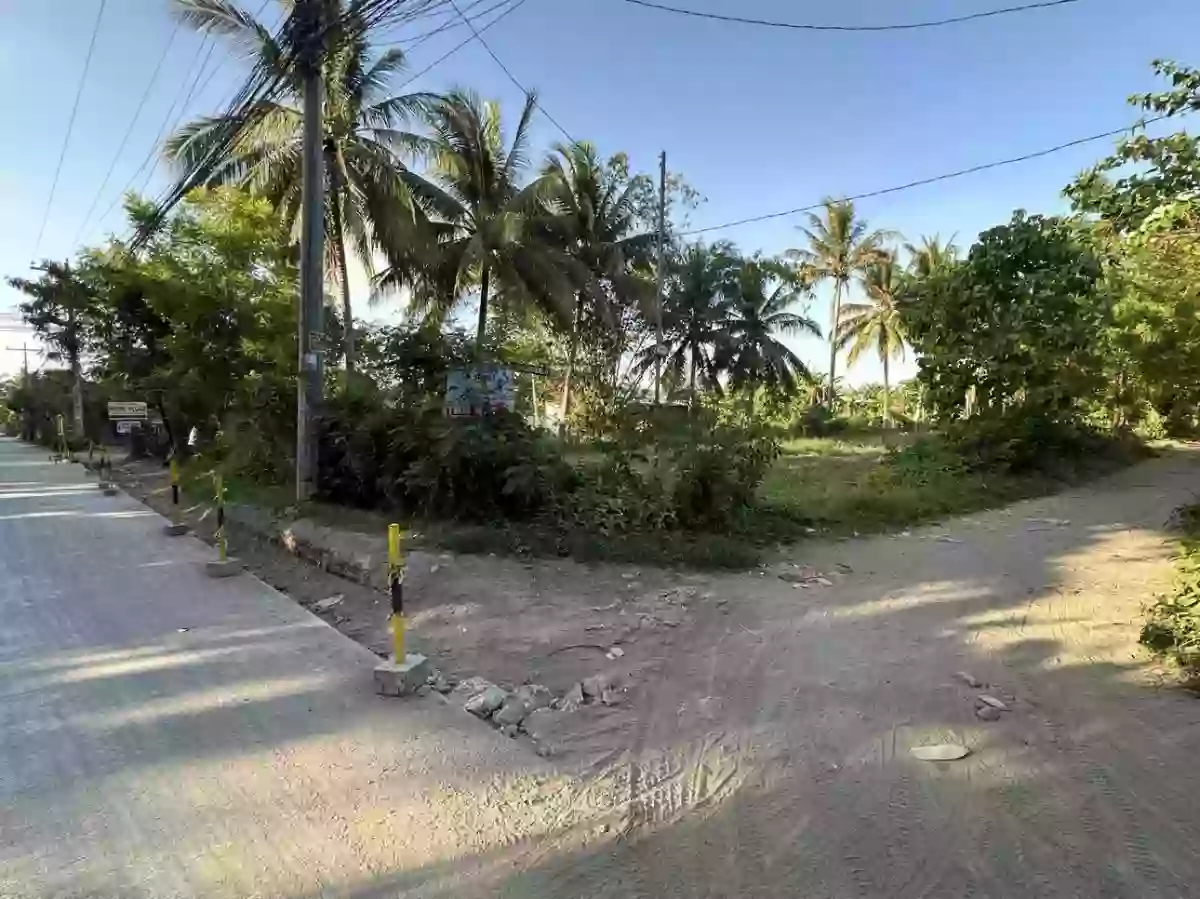 San Isidro Lot for Sale — Agricultural Lot in General Santos City, South Cotabato, Philippines — Photo 3