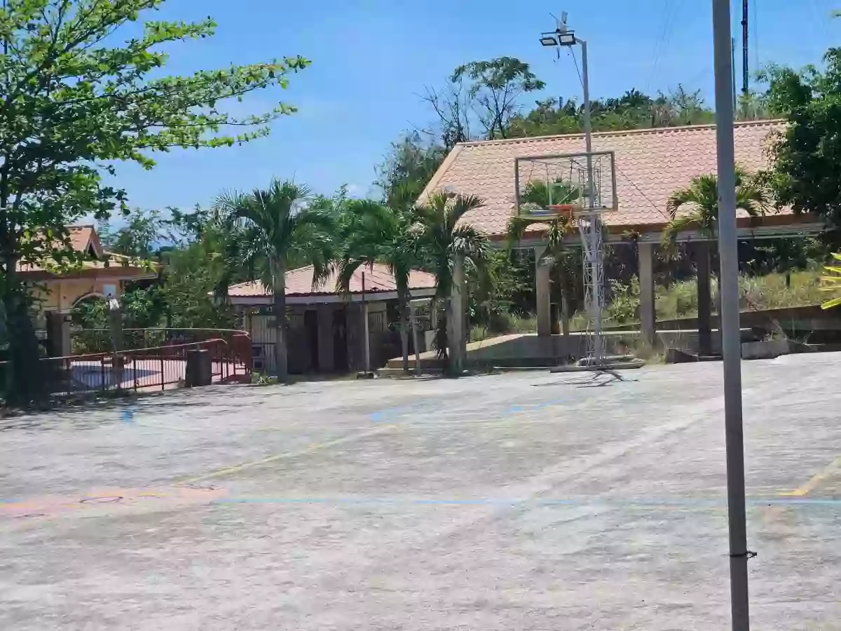 FOR SALE: Titled Overlooking Residential Lot – Minglanilla, Cebu — Residential Lot in Minglanilla, Cebu, Philippines — Photo 4