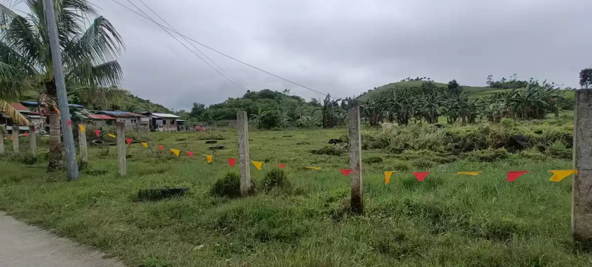 Farm Lot Flat along Provincial Road — Agricultural Lot in Pinamungahan, Cebu, Philippines — Photo 5