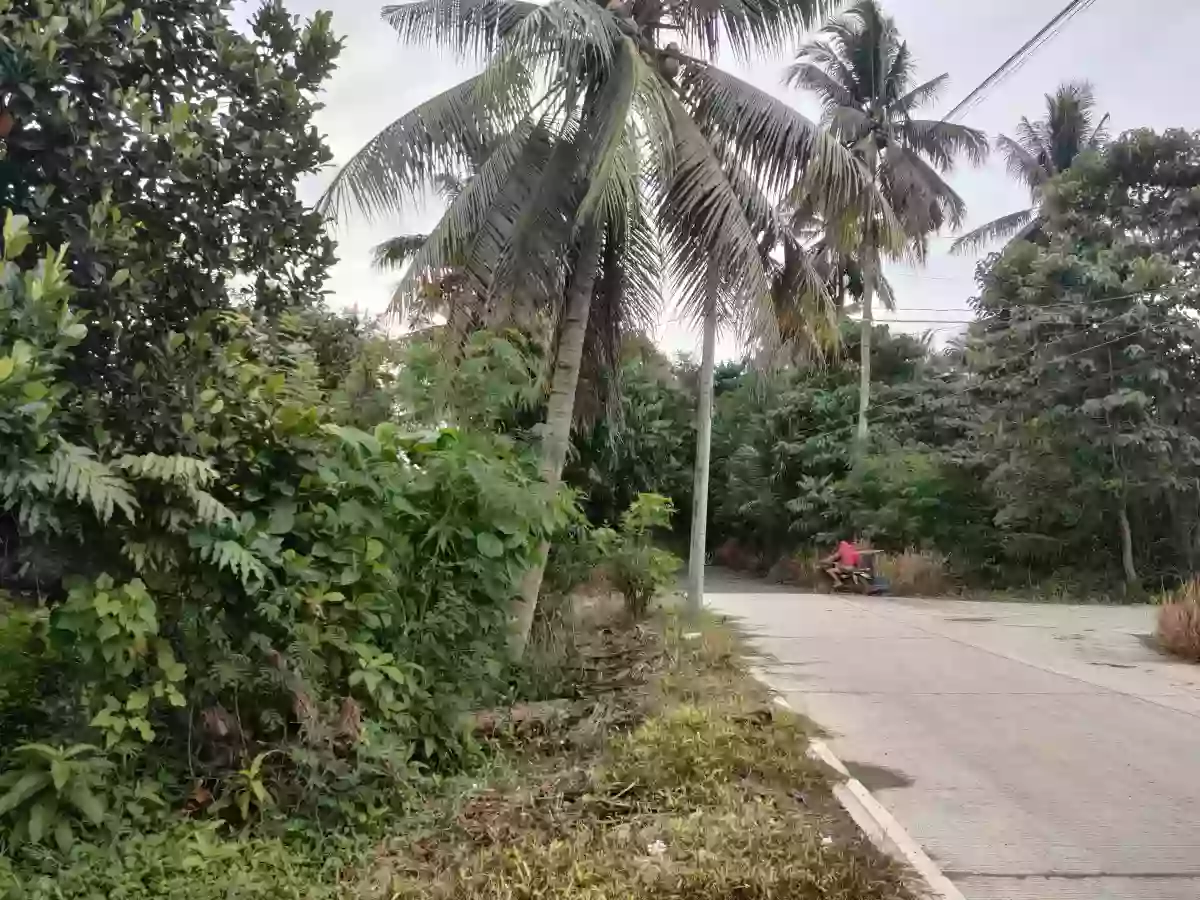 Commercial property — Commercial Lot in 1, General Santos City (Dadiangas), South Cotabato — Photo 3