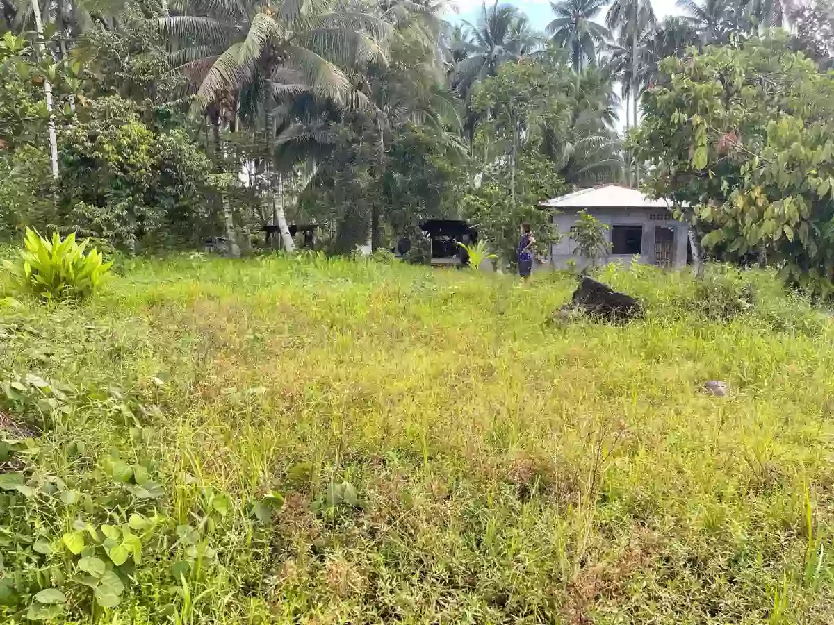 LOT FOR SALE AT TAGUM CITY — Residential Lot in Tagum, Davao del Norte, Philippines — Photo 4