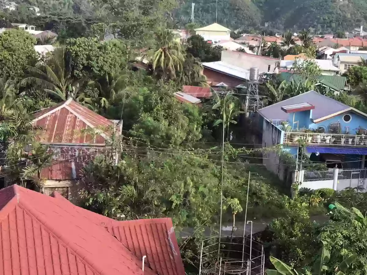 Lot for Sale in Minglanilla — Residential Lot in Lower Tunghaan St, Tunghaan Minglanilla, Minglanilla — Photo 2