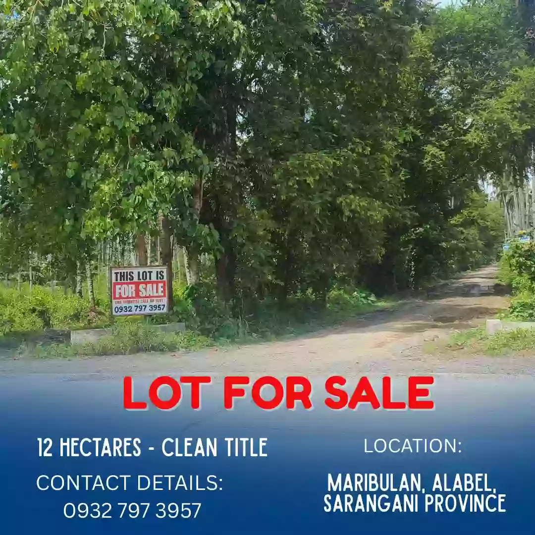 ALABEL LOT FOR SALE (very accessible to road) - Maribulan, Alabel, Sarangani Province — Residential Lot in Alabel, Sarangani, Philippines — Photo 4
