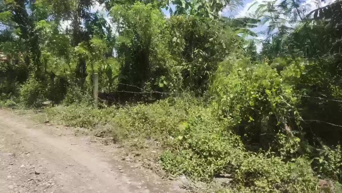 Prime lot for sale in Gensan! 12,060 sqm lot area in Baluan/Ligaya, 7 mins from UST — Residential Lot in General Santos City (Dadiangas), South Cotabato, Philippines — Photo 2