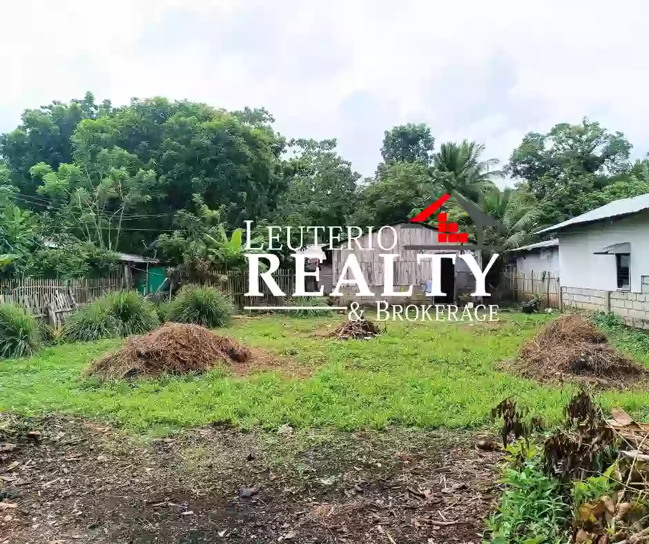 Residential Lot For Sale in Gumaca Quezon Near LTO along Cemented Road — Residential Lot in Gumaca, Quezon, Philippines — Photo 3