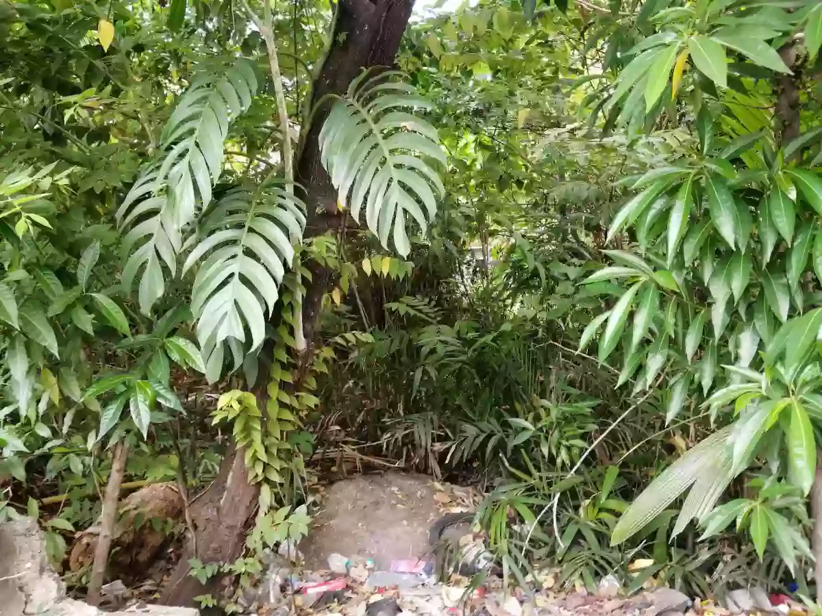 629sqm Residential Lot in Matina, Davao City