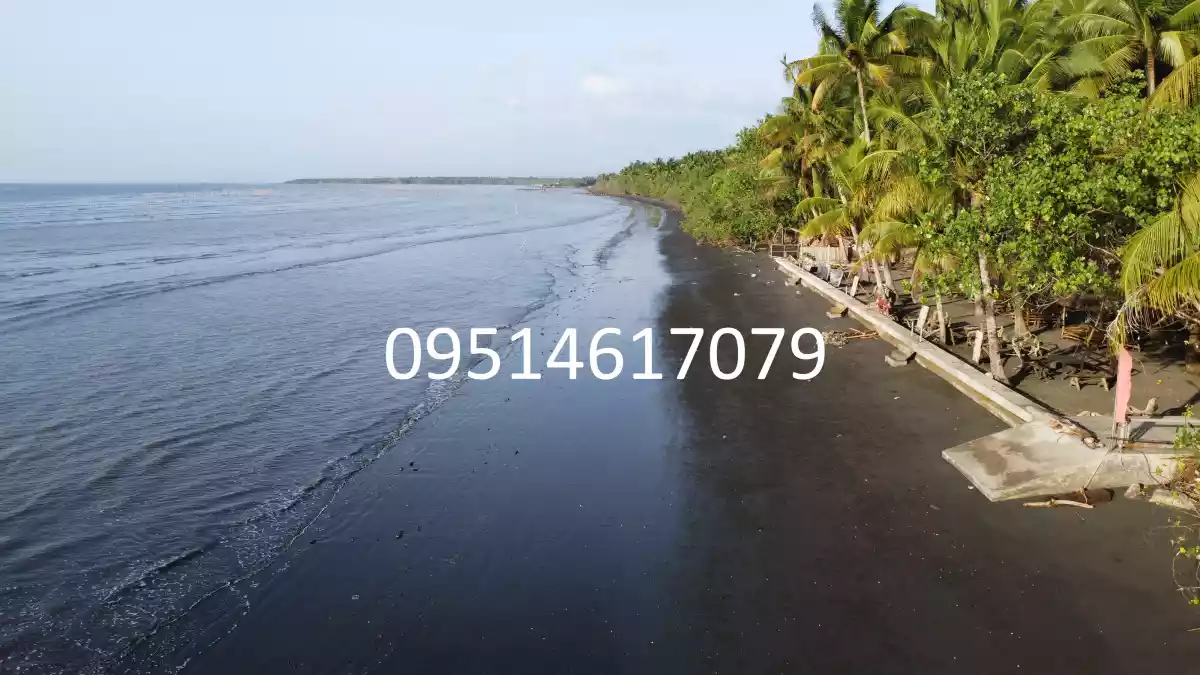 905 sqm Beachline Property in Busaon, Tagum City: Your Dream Beachfront Awaits