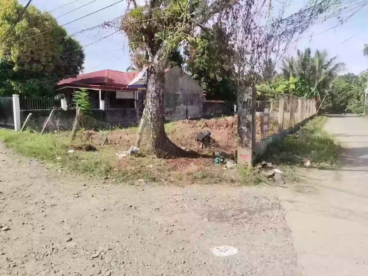 Corner Lot for sale in PNB Subdivision Dipolog City — Residential Lot in Dipolog City, Zamboanga del Norte, Philippines — Photo 6