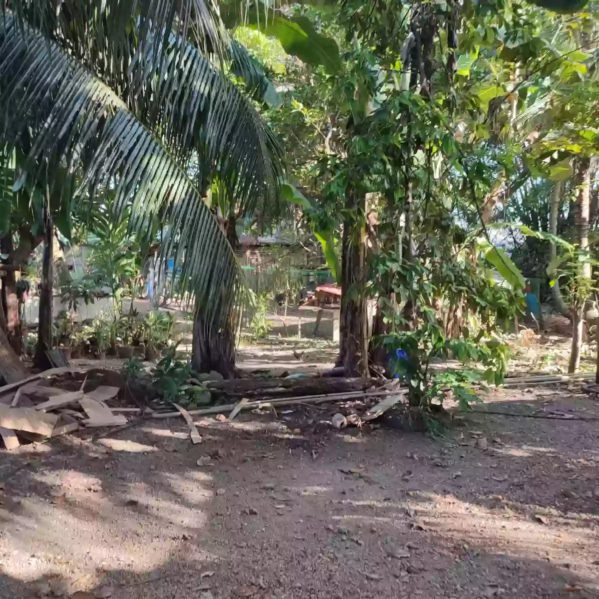 RESIDENTIAL LOT WITH BEACH FRONT — Residential Lot in San Remigio, Cebu, Philippines — Photo 7