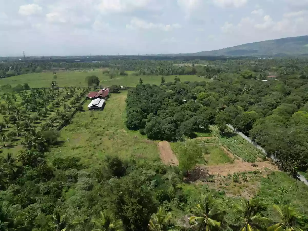 Open photo 15 of 20 — Piggery/Farm Lot For Sale in Odagre General Santos City Socksargen
