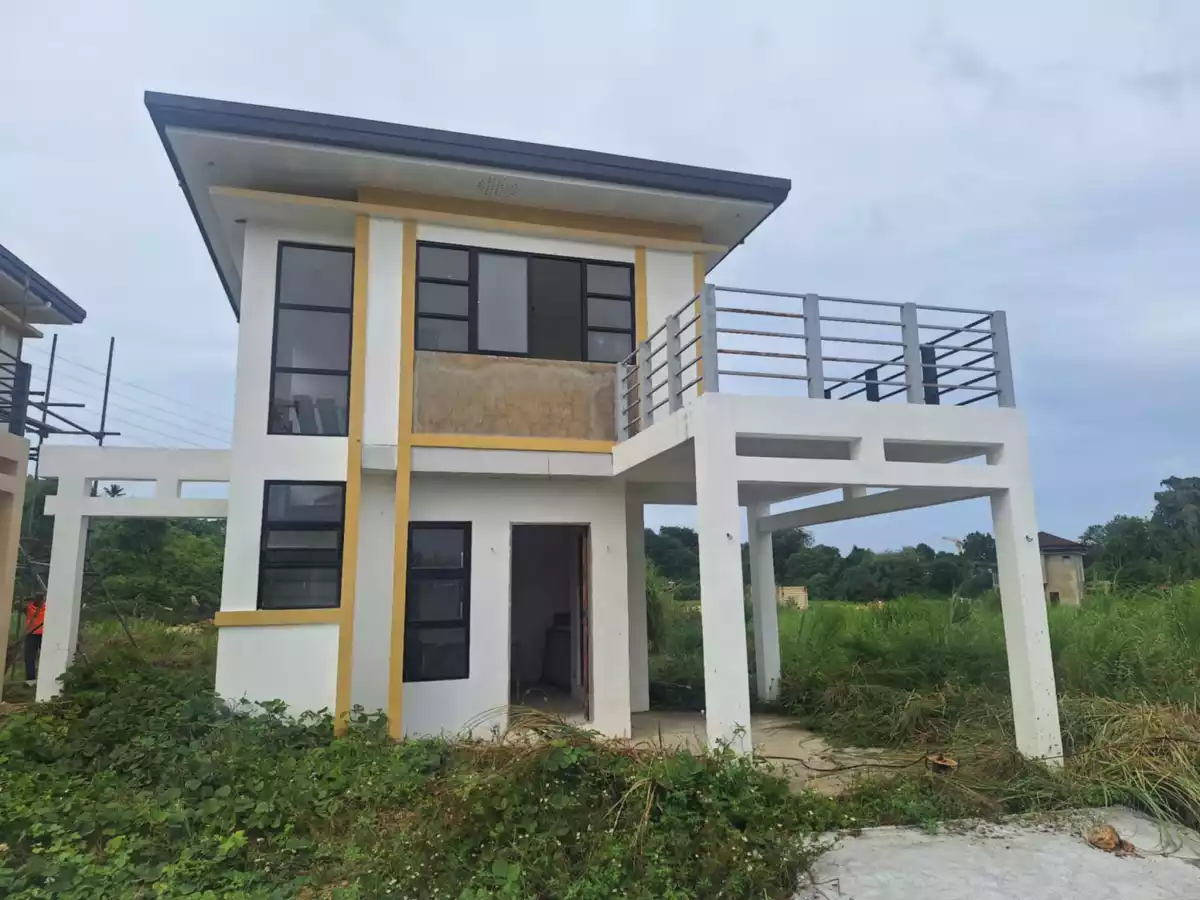 For Sale The Wellington Greens Cogon, Compostela, Cebu