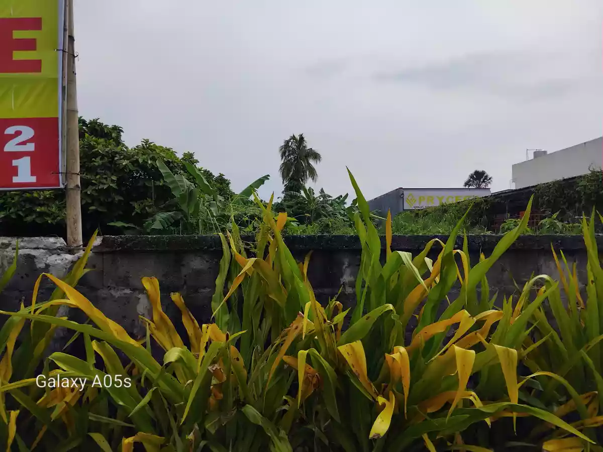 Commercial lot for sale