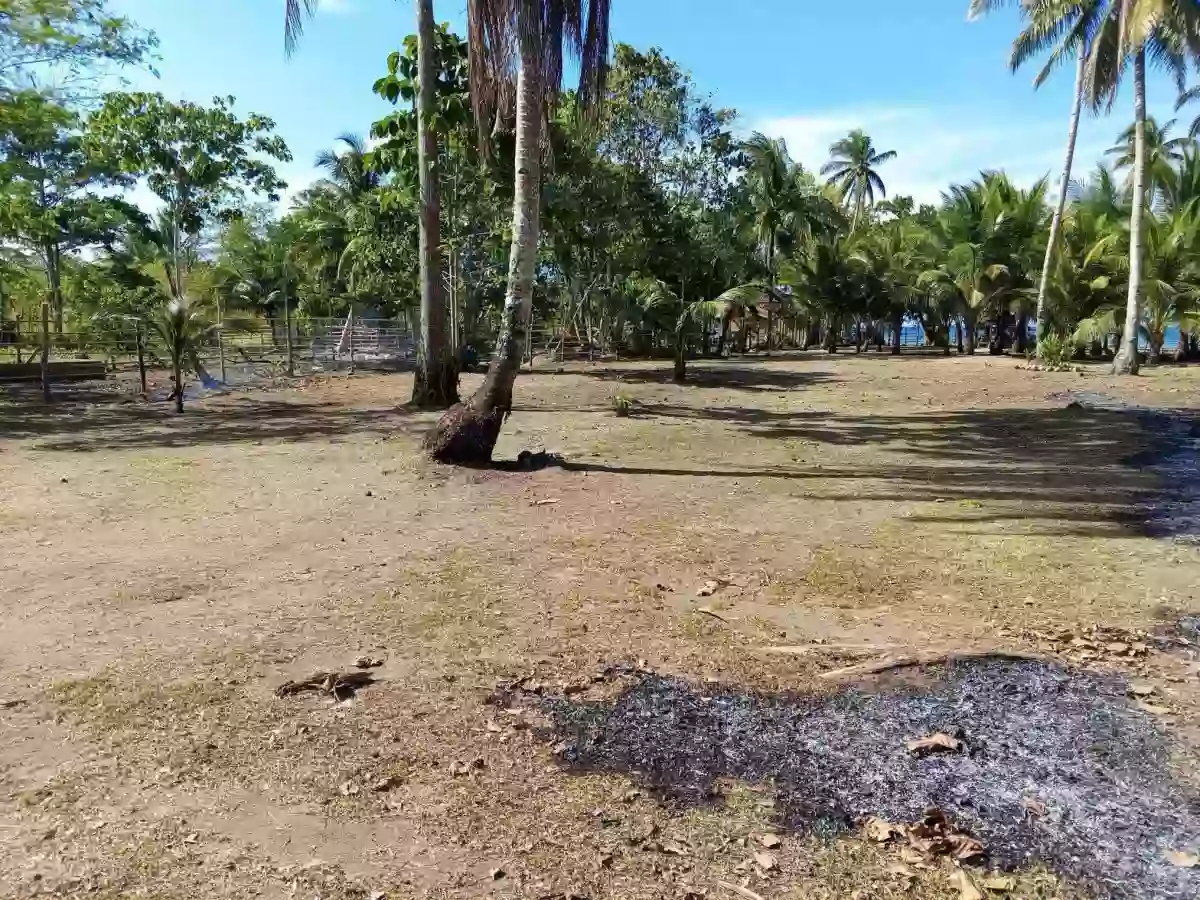 beach front — Beach Lot in Puerto Princesa, Palawan, Philippines — Photo 6