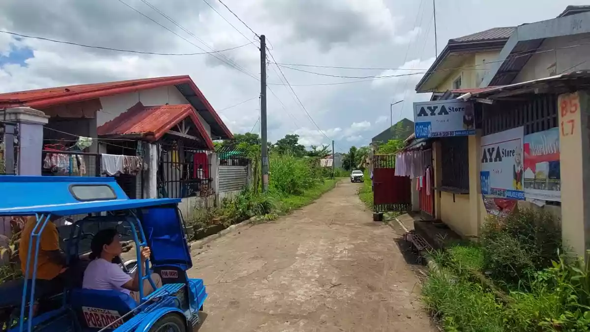 Santa Catalina Homes Lot Only in Bago City near Bago City College — Residential Lot in Bago, Negros Occidental, Philippines — Photo 3