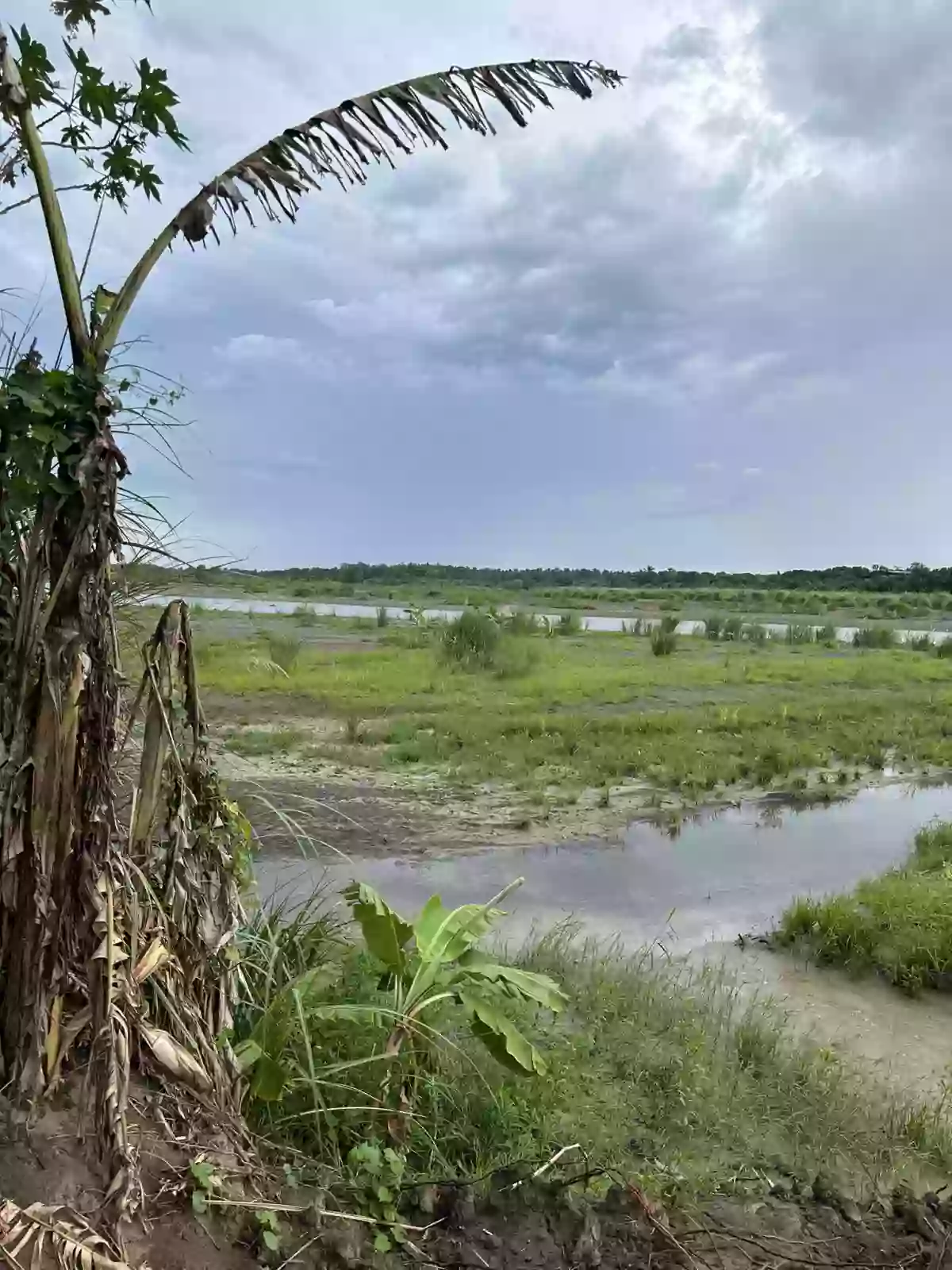 Baluntay Alabel Lot for Sale Good for Quarrying — Agricultural Lot in Alabel, Sarangani, Philippines — Photo 3